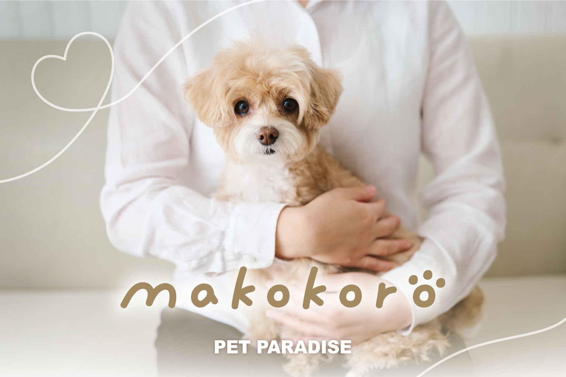 ペット用品専門店「ペットパラダイス」 シニア犬向けの思いやりと 