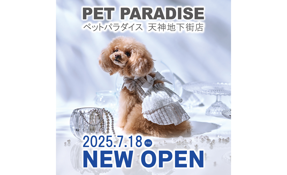 楽天市場】【送料無料】ペット用 キャリーバッグ リュック型