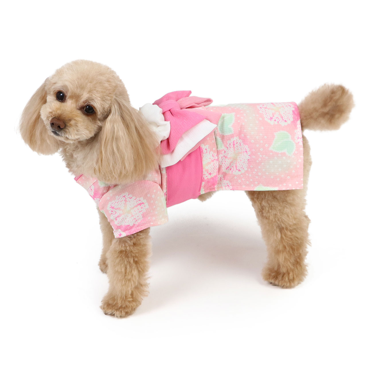 夏のイベントにぴったり！ペット用浴衣コレクションを展開中 和柄を